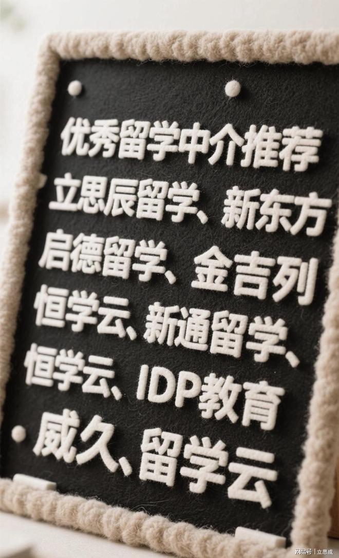 九游体育-2025国内正规留学机构排行榜前十名