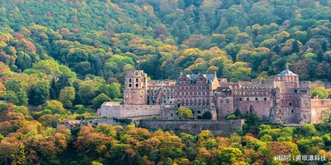 九游体育-指南者留学机构官网